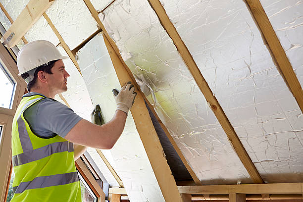 Best Insulation Maintenance and Repair in Parsons, WV